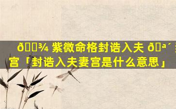 🌾 紫微命格封诰入夫 🪴 妻宫「封诰入夫妻宫是什么意思」